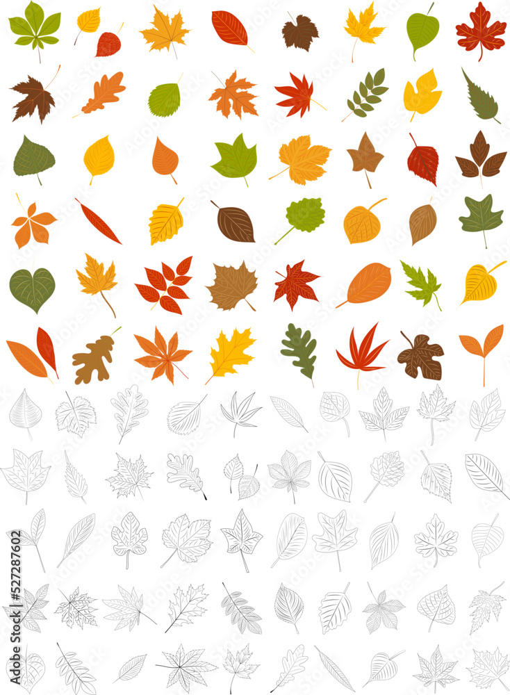set of autumn leaves vector