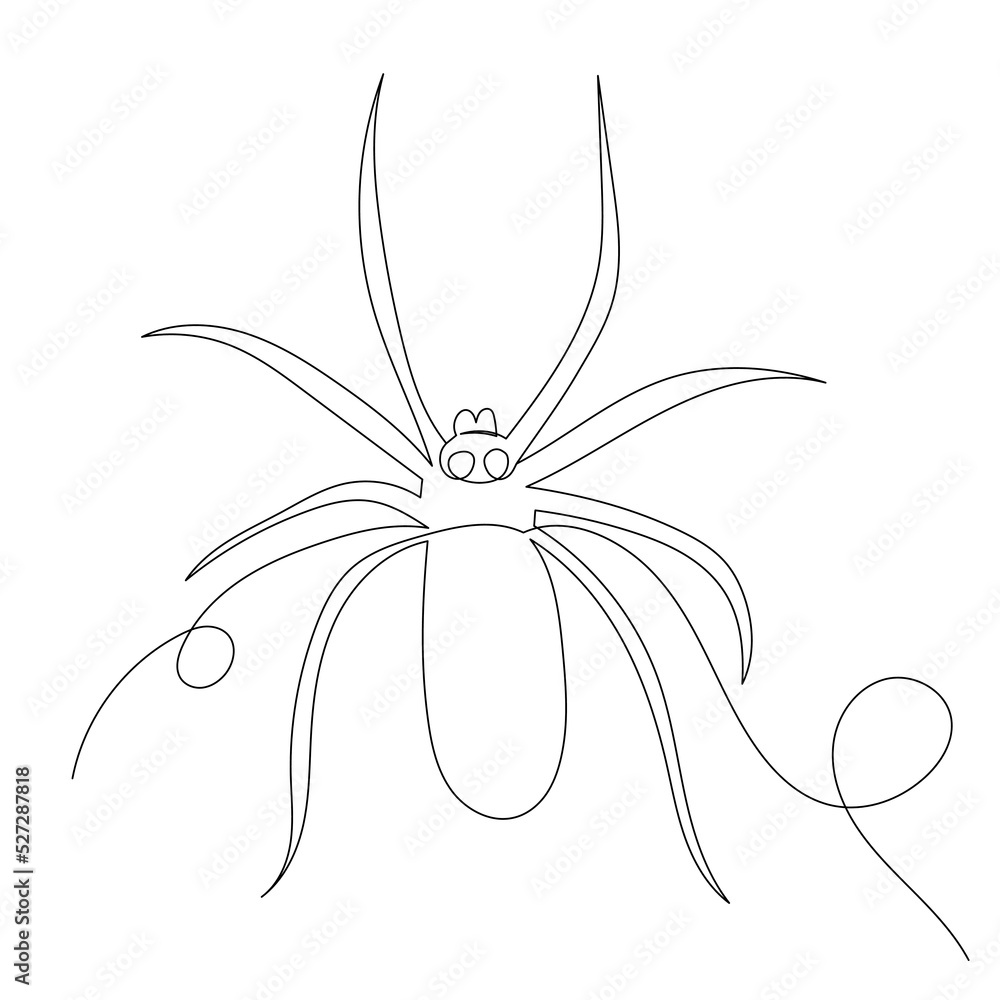 spider drawing by one continuous line, vector