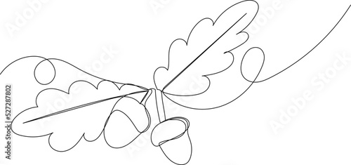 acorns drawing by one continuous line, vector