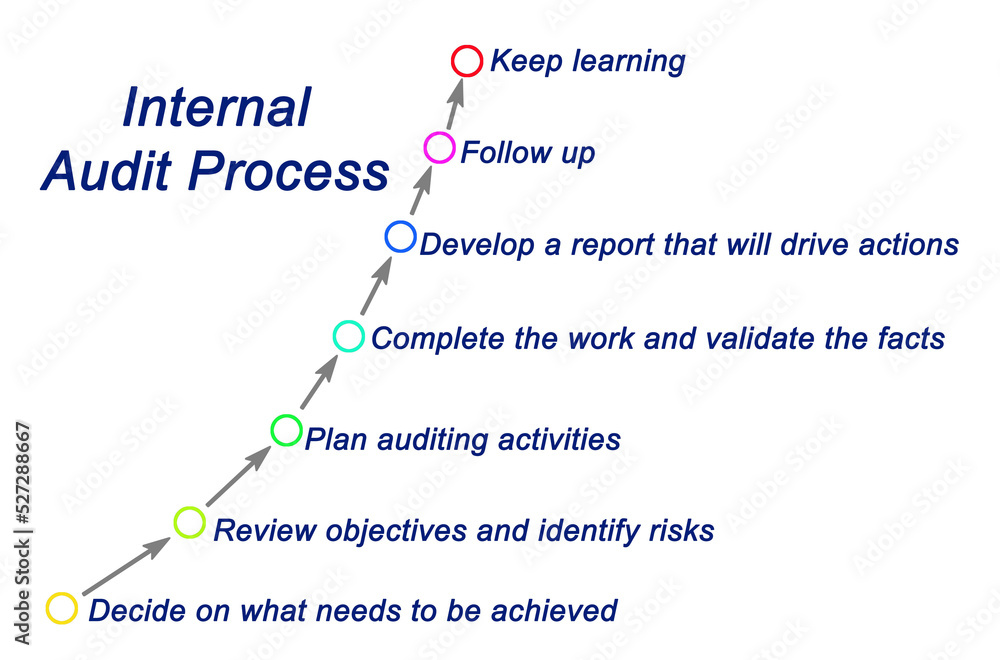 Components of Internal Audit Process