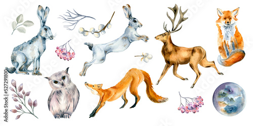Set of wild animals and forest plants watercolor illustration isolated on white. © Katyalanbina@gmail 