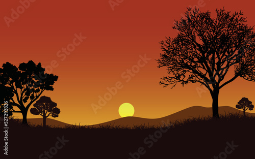 Sunset landscape scene with silhouette trees and forest background02 photo