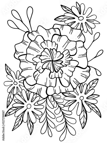 coloring book botany flowers plants graphics vector doodle illustration antistress for children and adults isolated on a white background