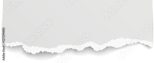 Ripped paper scrap. Blank note with torn edge