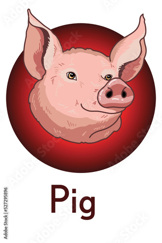 Cute head pig hand-drawn doodle style, color illustration. Logo in vector. chinese horoscope