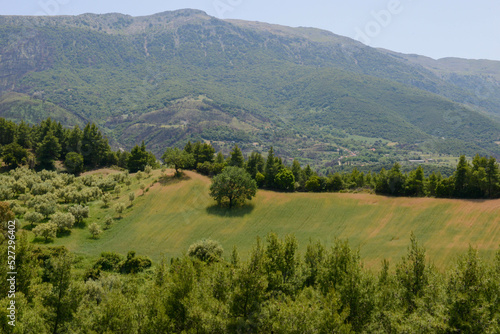 Rural landscape with fields and mount Erymanthos in Greece
