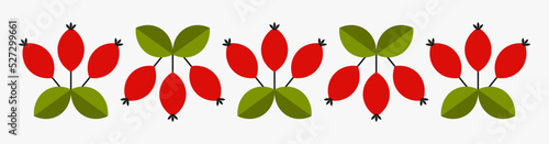 Rose hip red berry fruits on branches, autumn border.