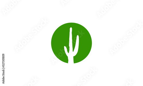 Cactus logo modern vector illustration template download