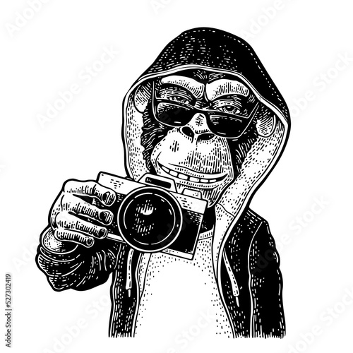 Monkey photographer holding camera. Vintage black engraving illustration. Isolated on white