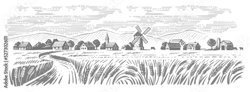 Wheat village landscape vector. Farm and fields with harvest