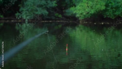 fishing on a float rod on a picturesque lake. wildlife. close-up