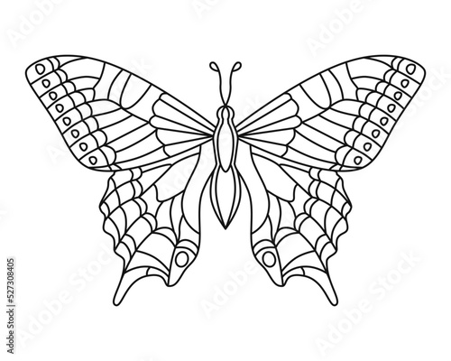 Butterfly. Outline drawing. Vector. Graphics. 