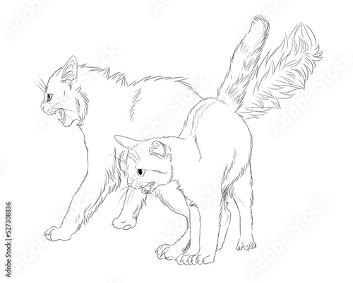 Digital illustration of two hissing cats side by side, an adult and a young photo