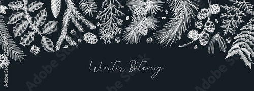 Merry Christmas seamless pattern. With vintage winter flowers, evergreen, conifers plants. Vector design with hand drawn botanical elements.  For wrapping paper, greeting cards, banners, packaging.