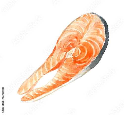 Salmon steak, slice of fresh raw red fish, seafood. Close-up, package design element, isolated, hand drawn watercolor illustration on white background
