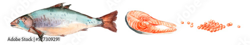Salmon meat. Cartoon raw steak and fresh fillet, salmon sea food ingredient. Isolated set