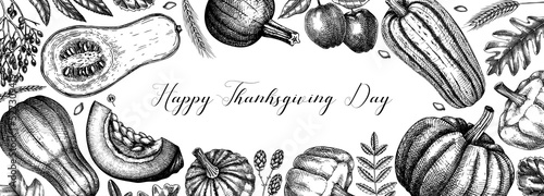 Thanksgiving background. Pumpkins black and white sketches.  Autumn plants and fruit drawings. Vector vegetables, butternut squash, marrow, pumpkin sketches. Fall banner design. Harvest festival.