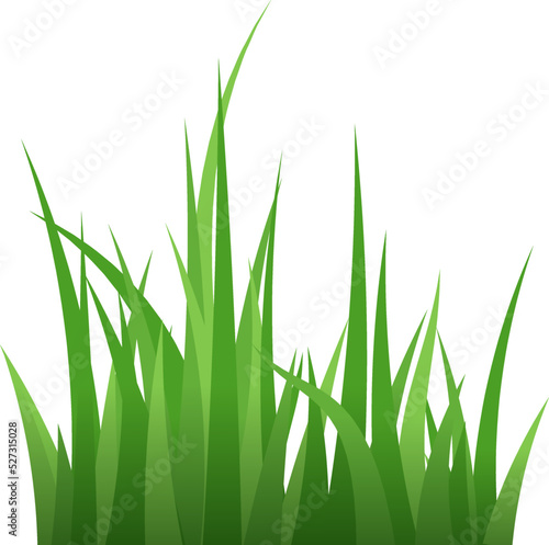 Green grass blades. Fresh summer plants. Eco symbol