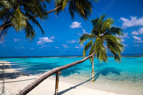 Fototapeta Naklejka Na Ścianę i Meble -  Landscape on Maldives island. Beautiful sky and clouds and beach with palms background for summer vacation holiday and travel concept.