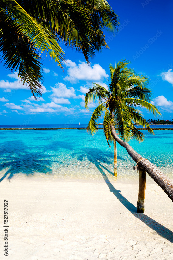 Obraz premium Landscape on Maldives island. Beautiful sky and clouds and beach with palms background for summer vacation holiday and travel concept.