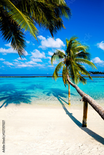 Landscape on Maldives island. Beautiful sky and clouds and beach with palms background for summer vacation holiday and travel concept.