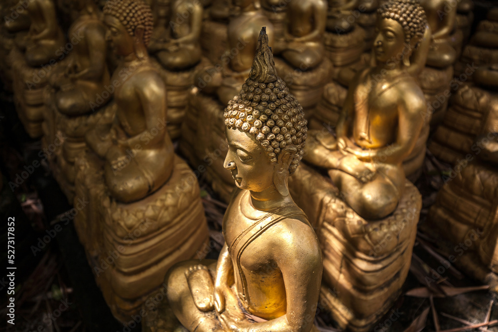 Hundreds of golden Buddha images alongside religious structures and site at Sinxayaram Temple in Feuang district of Vientiane in Laos