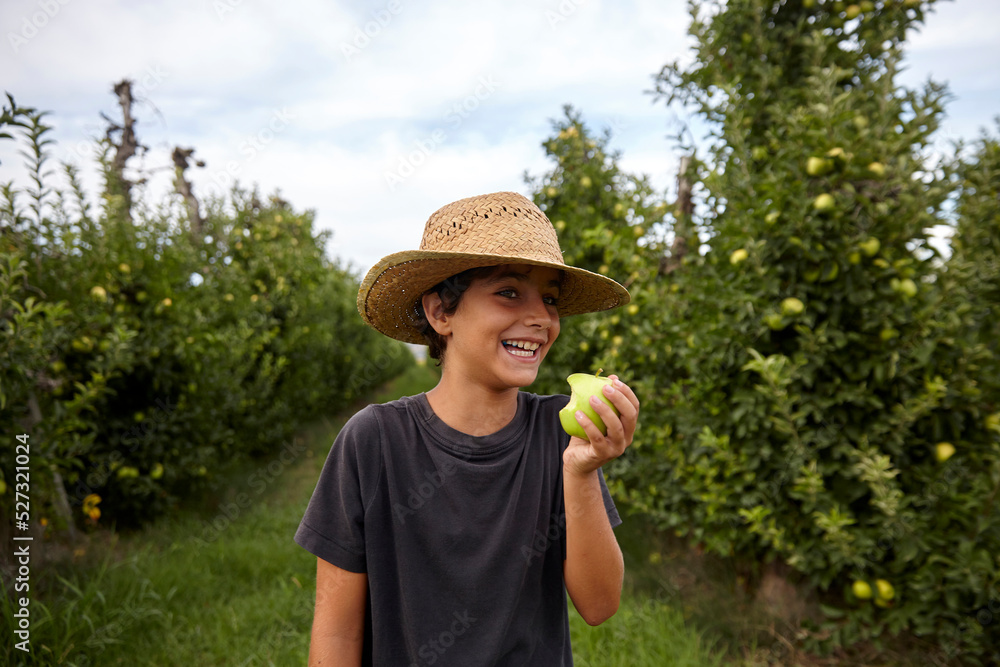 Smiling boy biting an apple