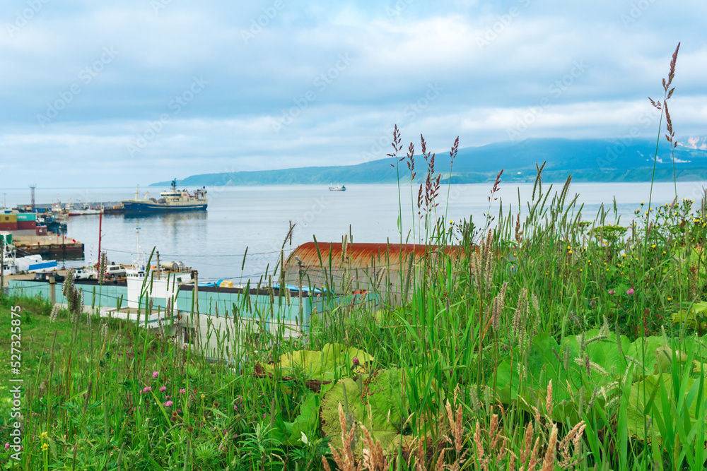 blurred view from a high bank to a small fishing port on the shore of an ocean bay, focus on the near grass