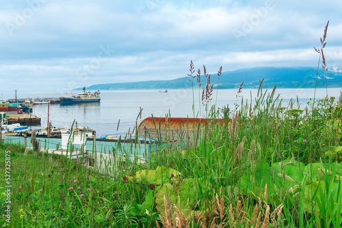 blurred view from a high bank to a small fishing port on the shore of an ocean bay, focus on the near grass
