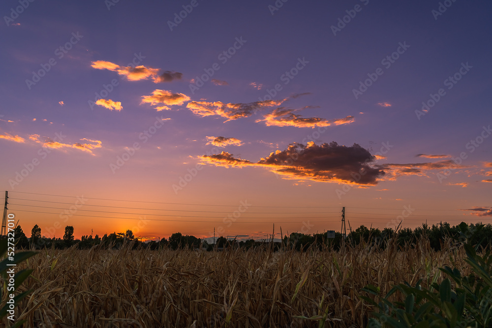 Sunset over a cornfield on the outskirts of a city in Italy, the sky at sunset, the background image of the evening sky at sunset on a summer day Sunset over a cornfield on the outskirts of a city in Italy, the sky at sunset, the background image of the evening sky at sunset on a summer day