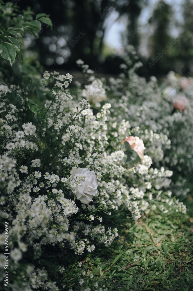 ideas for Wedding Decoration outdoors with white pink and orange flowers in the day light. Table Setting outdoors with flowers arrangement. Refreshing nature environment ideas for Wedding Decoration outdoors with white pink and orange flowers in the day light. Table Setting outdoors with flowers arrangement. Refreshing nature environment
