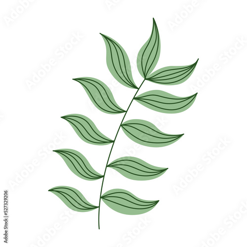 Tropical leaf icon.