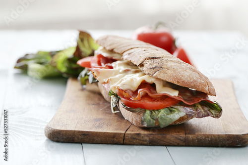 Tasty Sandwich on white background