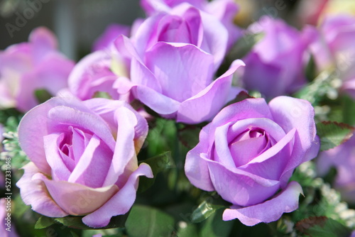 decoration artificial flowers, purple roses