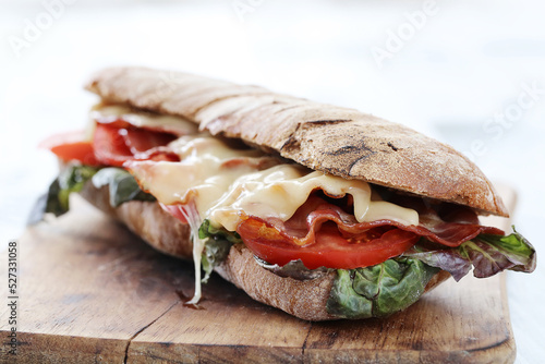 Tasty Sandwich on white background
