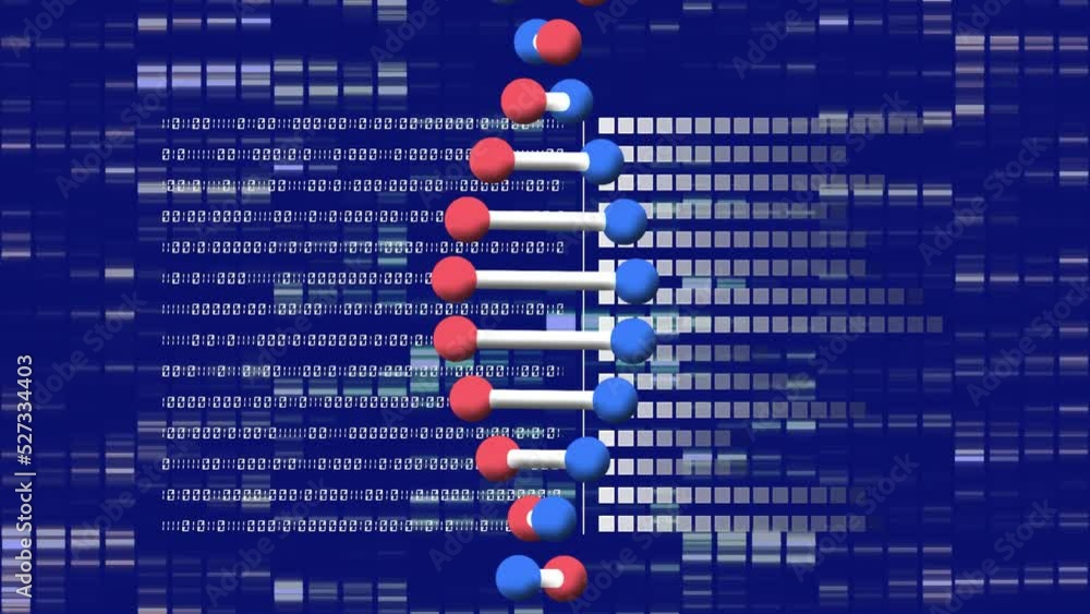 Animation of dna strand spinning over digital data processing Animation of dna strand spinning over digital data processing