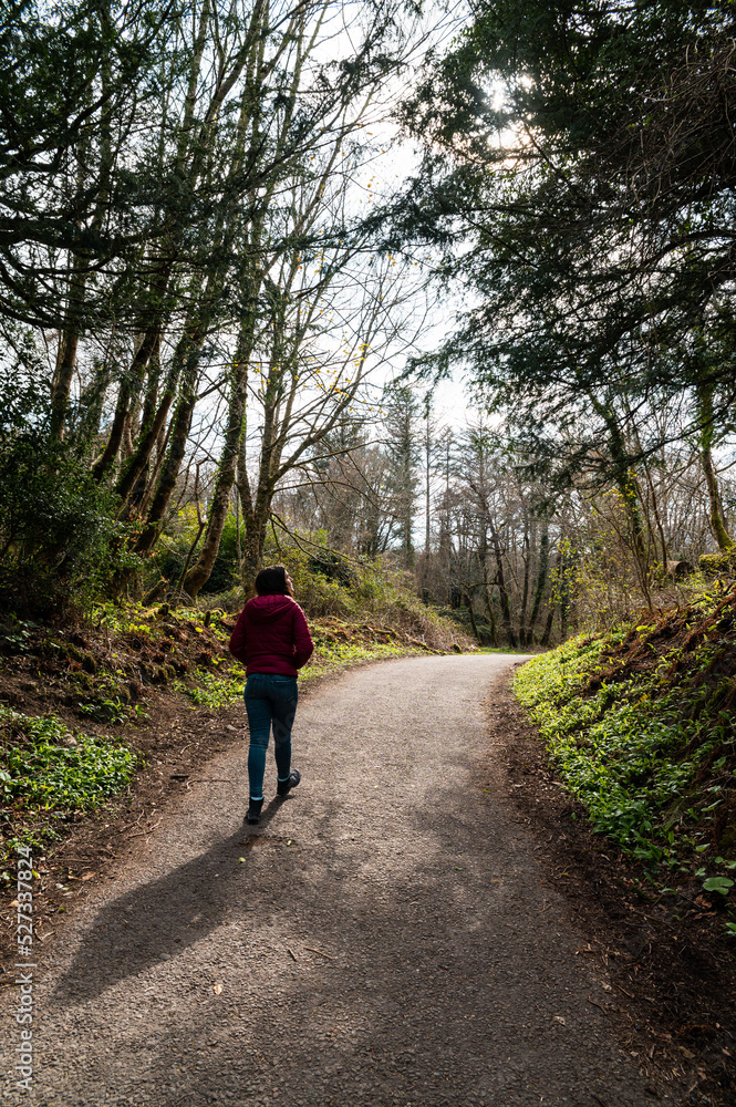 Anonymous tourist walking on curvy road through leafless forest Anonymous tourist walking on curvy road through leafless forest