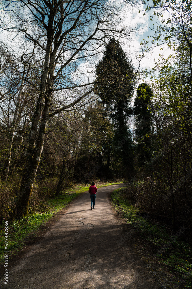 Anonymous tourist walking on curvy road through leafless forest Anonymous tourist walking on curvy road through leafless forest
