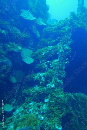 Famous wreck ship Fujikawa maru in Truk lagoon.