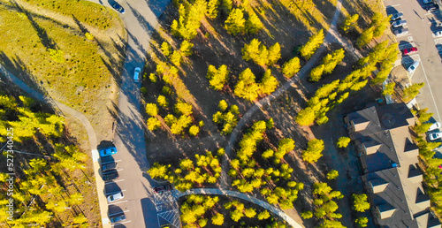 Aerial view of car parking in the middle of a forest