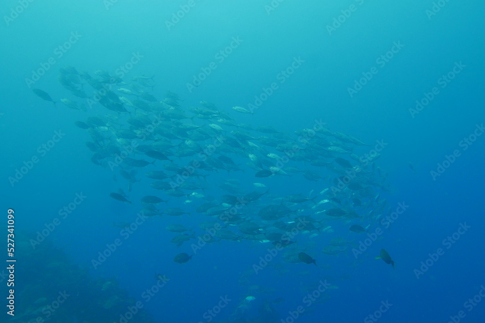 Famous wreck ship Fujikawa maru in Truk lagoon.