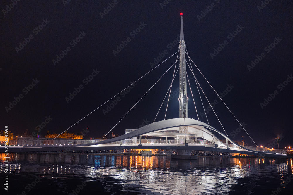 Fototapeta premium bridge at night