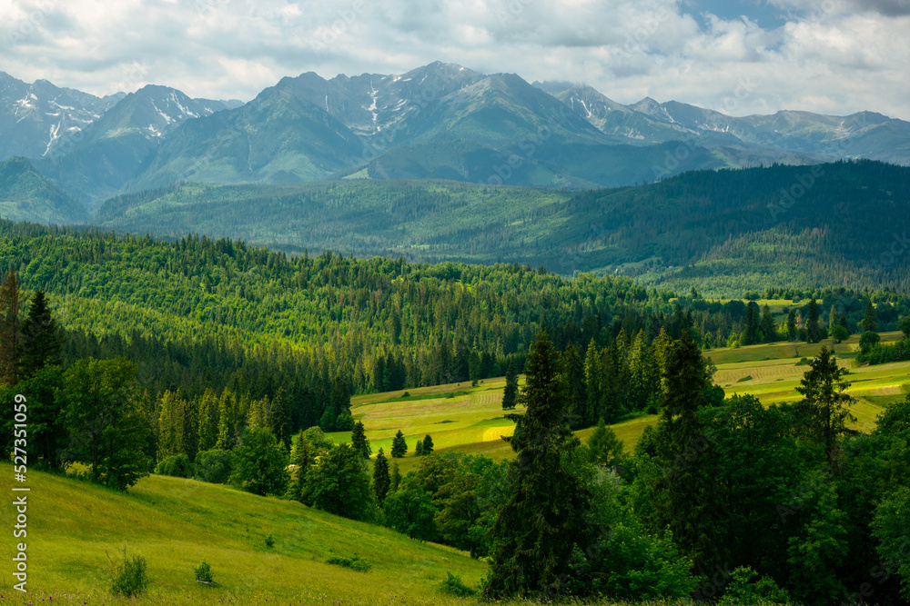 Green rolling hills and hgh tatras Mountains in Poland