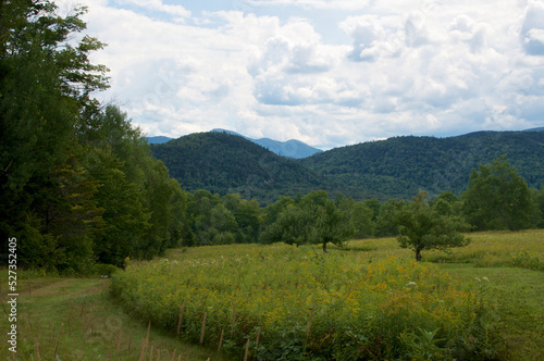 A beautiful meadow overgrown with wildflowers beside a path running along the edge of the forest with the Adirondacks Mountain range in the background under a cloud filled sky  with copy space.