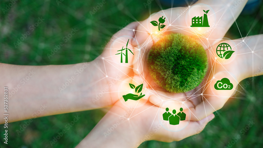 Net Zero and Carbon Neutral Concepts Net Zero Emissions Goals Weather neutral longterm strategy