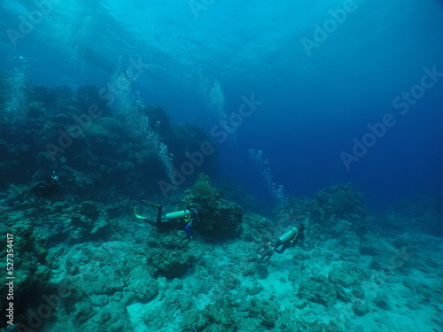 Scuba diving with Manta ray in Yap, Micronesia（Federated States of Micronesia）