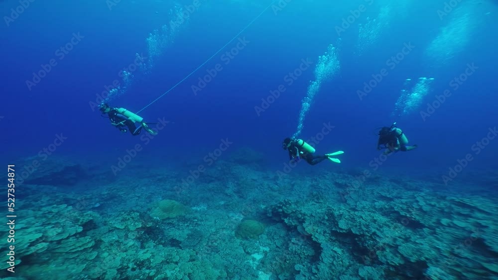 Scuba diving with Manta ray in Yap, Micronesia(Federated States of Micronesia) Scuba diving with Manta ray in Yap, Micronesia(Federated States of Micronesia)