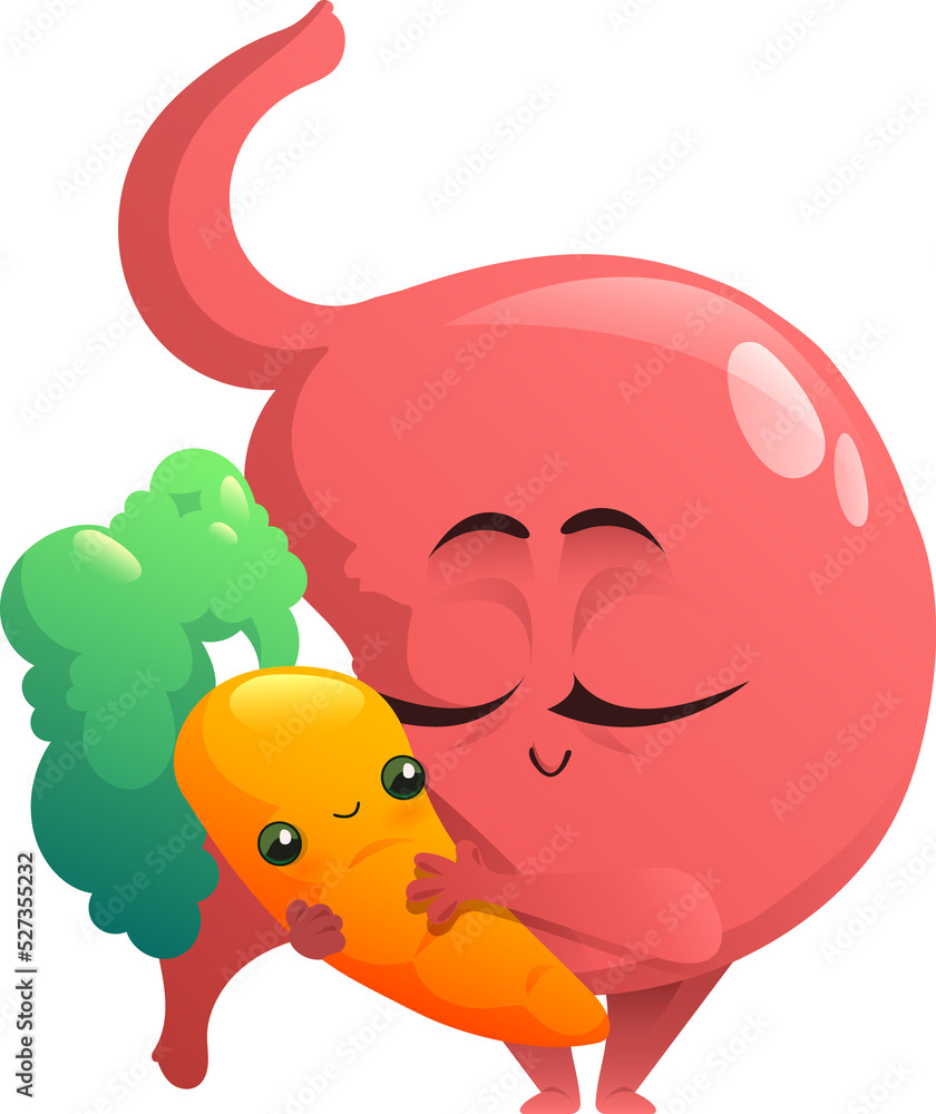 Healthy stomach Healthy stomach