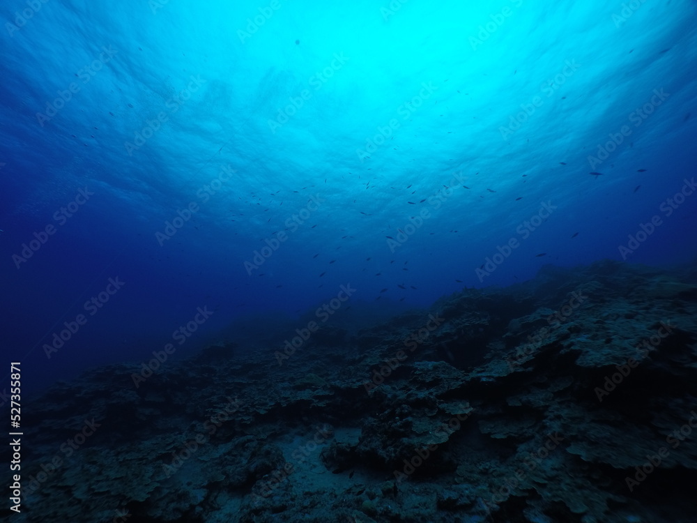 Scuba diving with Manta ray in Yap, Micronesia(Federated States of Micronesia) Scuba diving with Manta ray in Yap, Micronesia(Federated States of Micronesia)