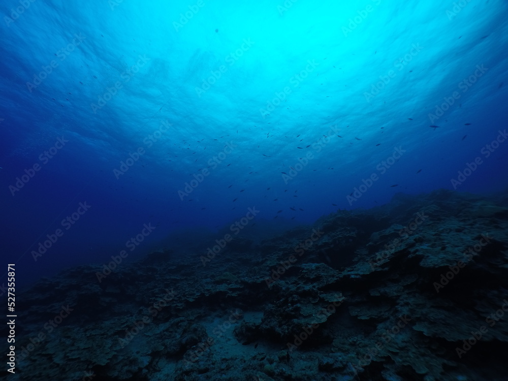 Scuba diving with Manta ray in Yap, Micronesia（Federated States of Micronesia）